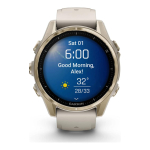 Garmin Fenix 8 43mm AMOLED Sapphire