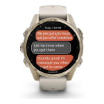 Garmin Fenix 8 43mm AMOLED Sapphire