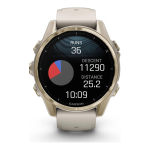 Garmin Fenix 8 43mm AMOLED Sapphire